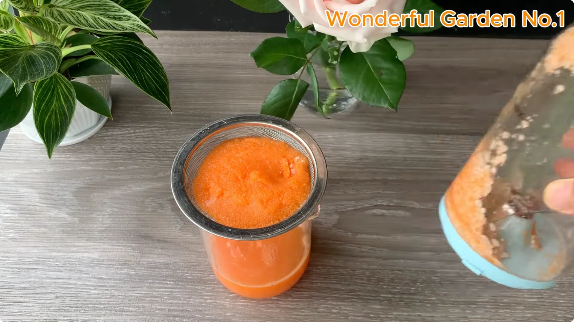 What Happens When You Soak a Rose Branch in Carrot Juice Overnight? screenshot 7