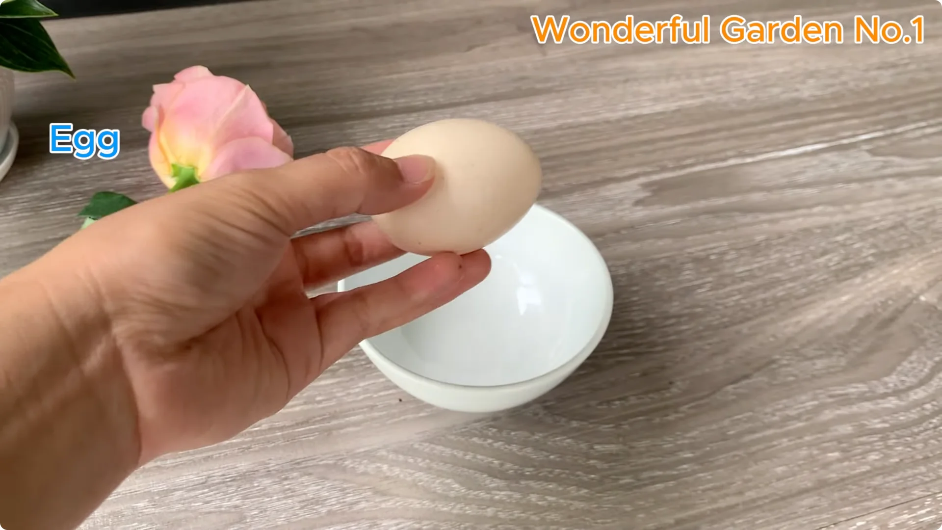 What Happens When You Stick a Rose Branch in Garlic Overnight? screenshot 1