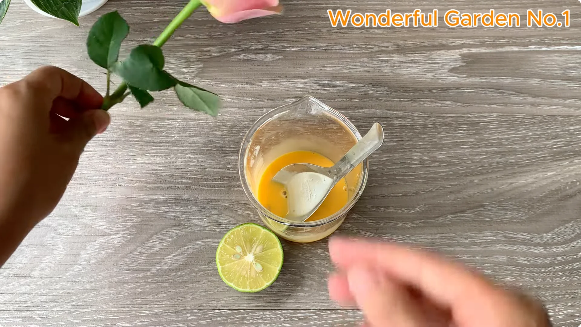 What Happens When You Stick a Rose Branch in Garlic Overnight? screenshot 3