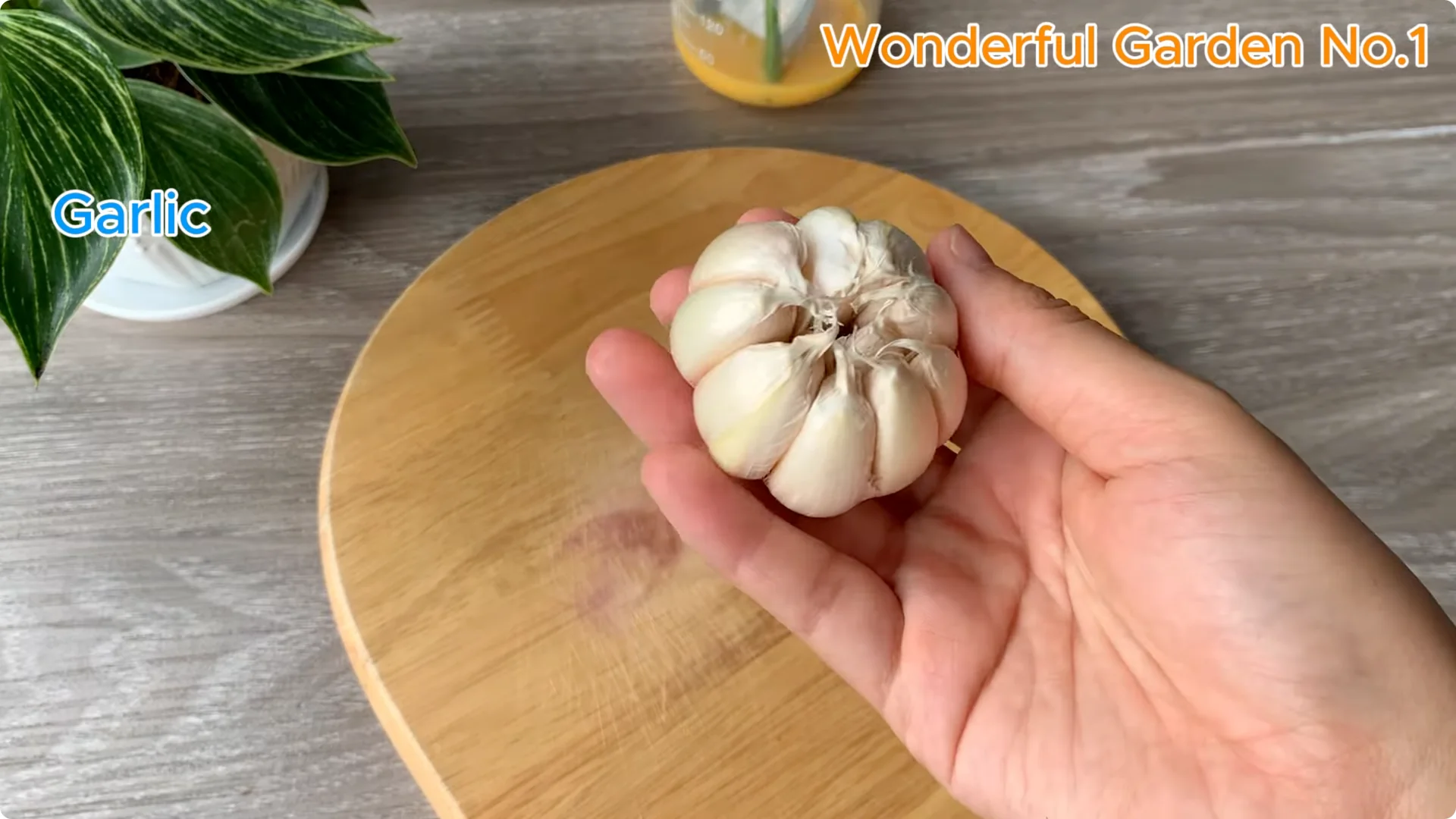 What Happens When You Stick a Rose Branch in Garlic Overnight? screenshot 4
