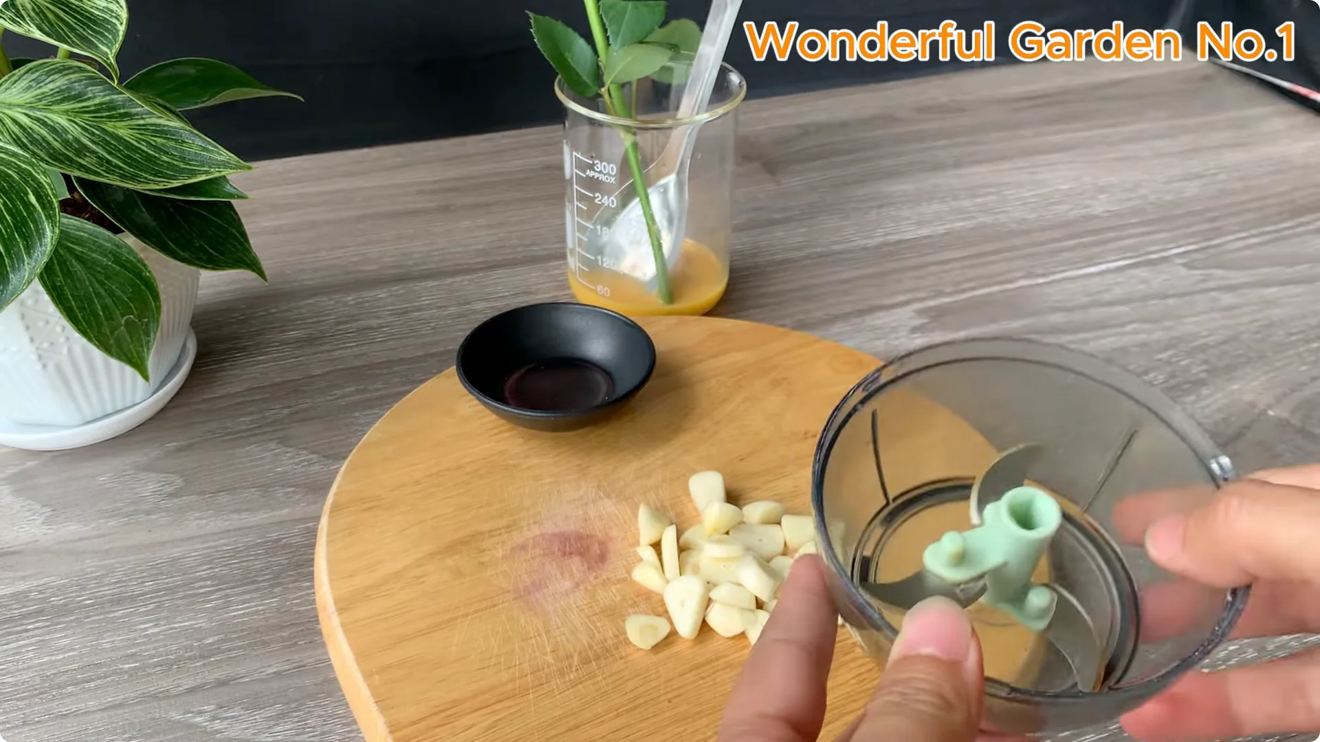 What Happens When You Stick a Rose Branch in Garlic Overnight? screenshot 5