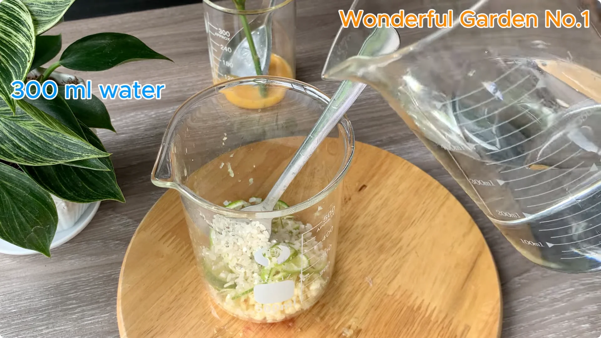 What Happens When You Stick a Rose Branch in Garlic Overnight? screenshot 6