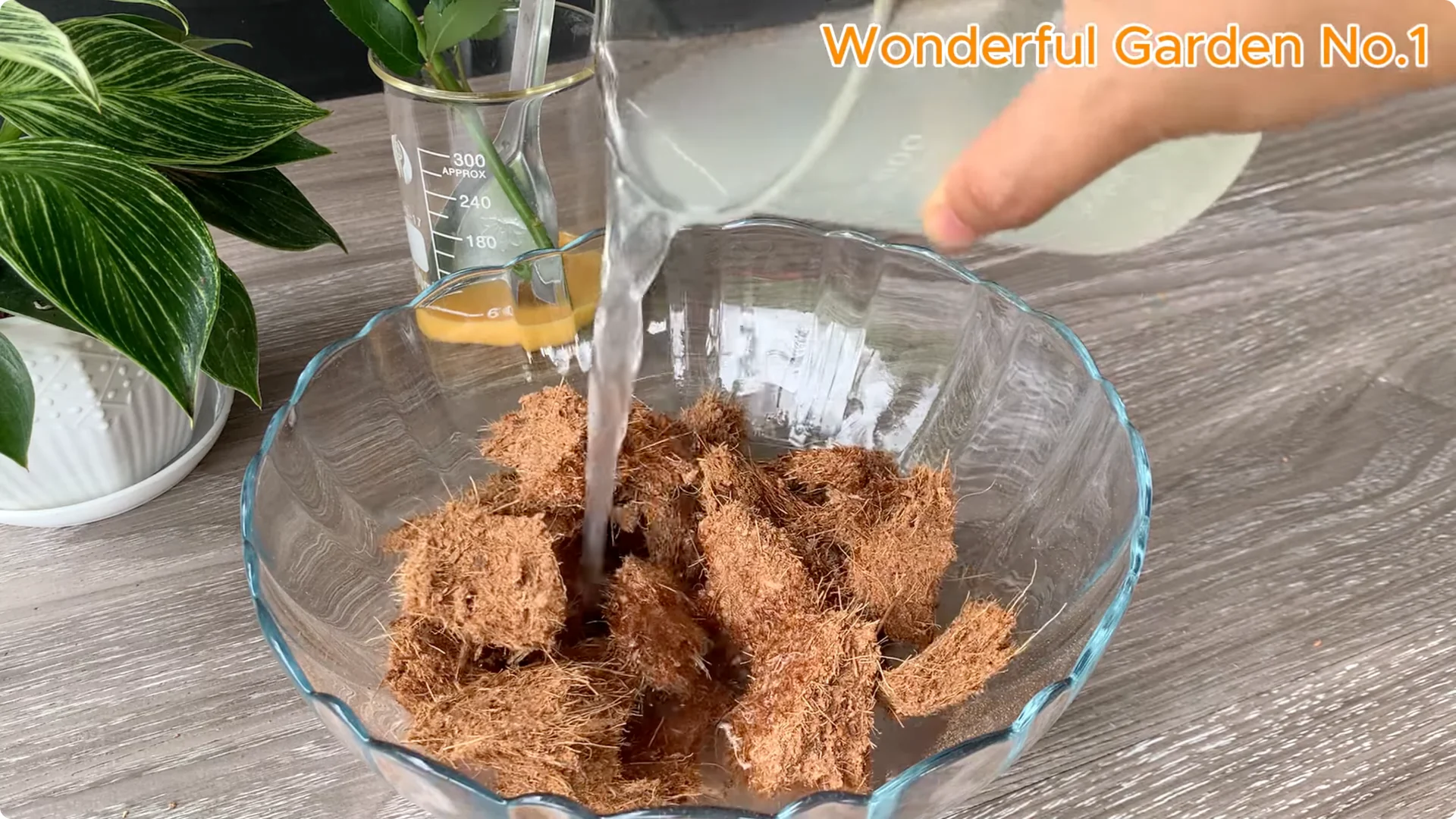 What Happens When You Stick a Rose Branch in Garlic Overnight? screenshot 9