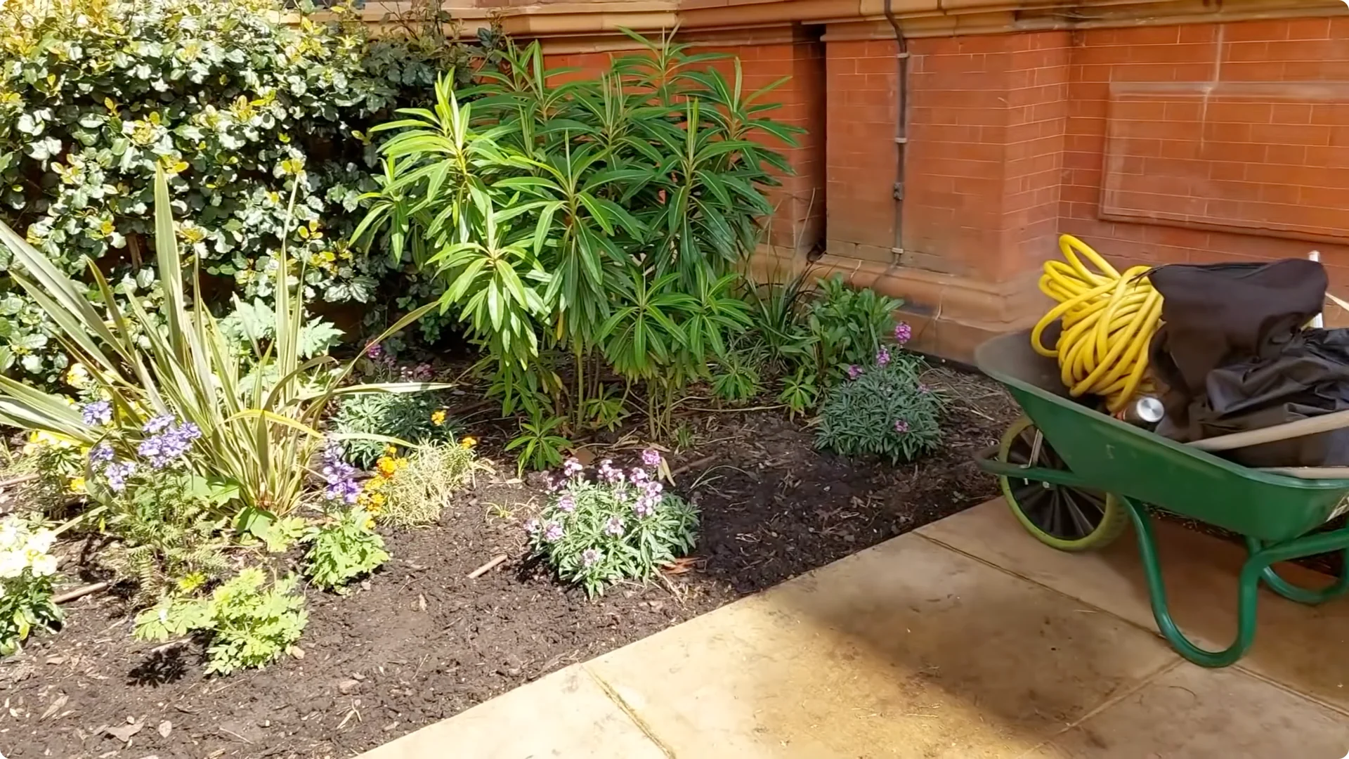 Which 2026 Garden Trends Are Fading Fast? screenshot 6