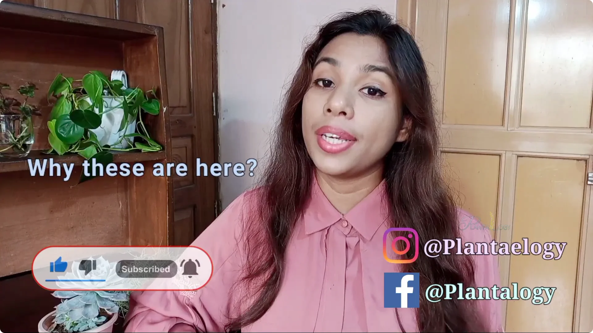 Why Aren't Plants Growing in My House? Key Care Tips Explained screenshot 1