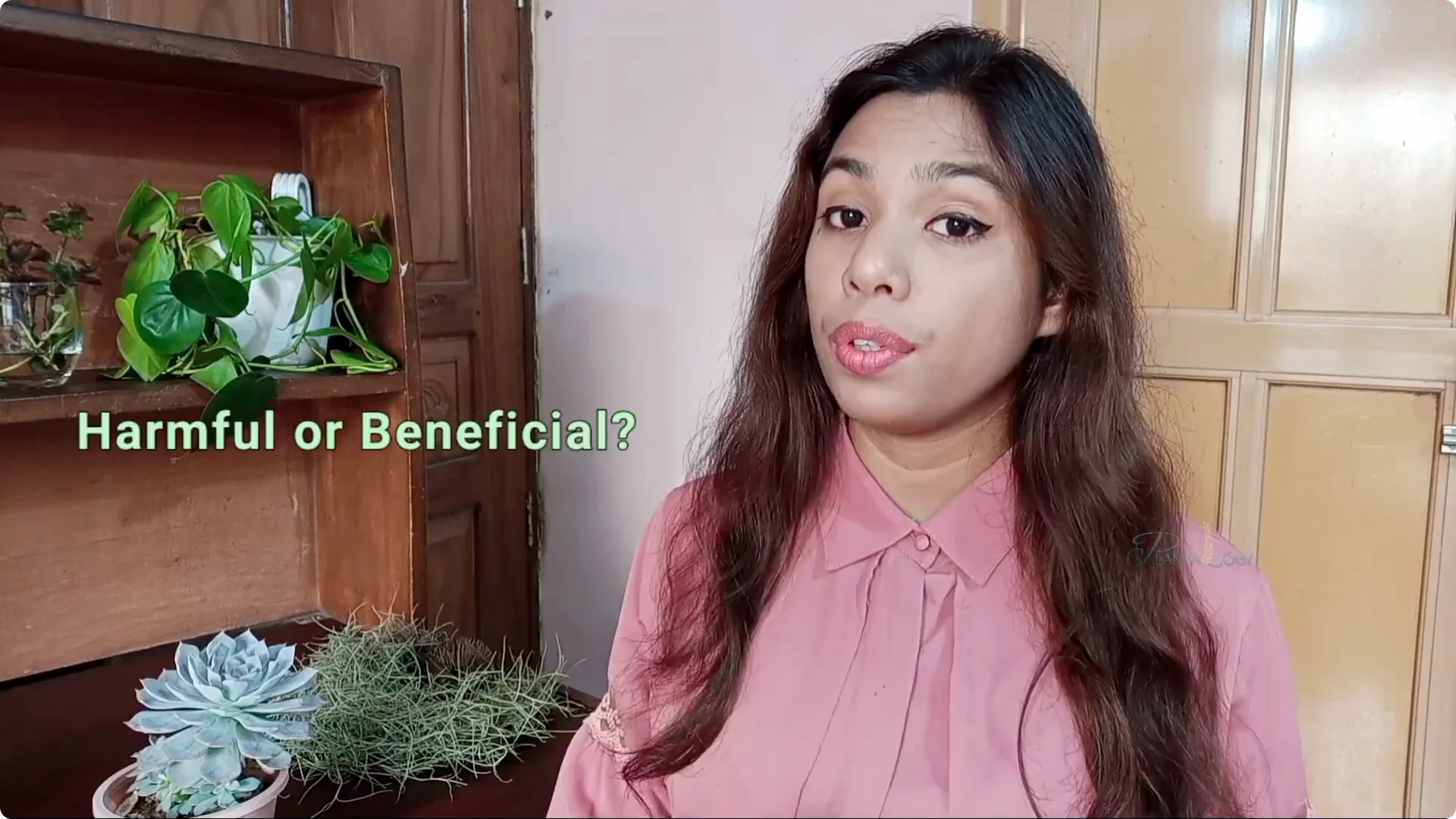 Why Aren't Plants Growing in My House? Key Care Tips Explained screenshot 3