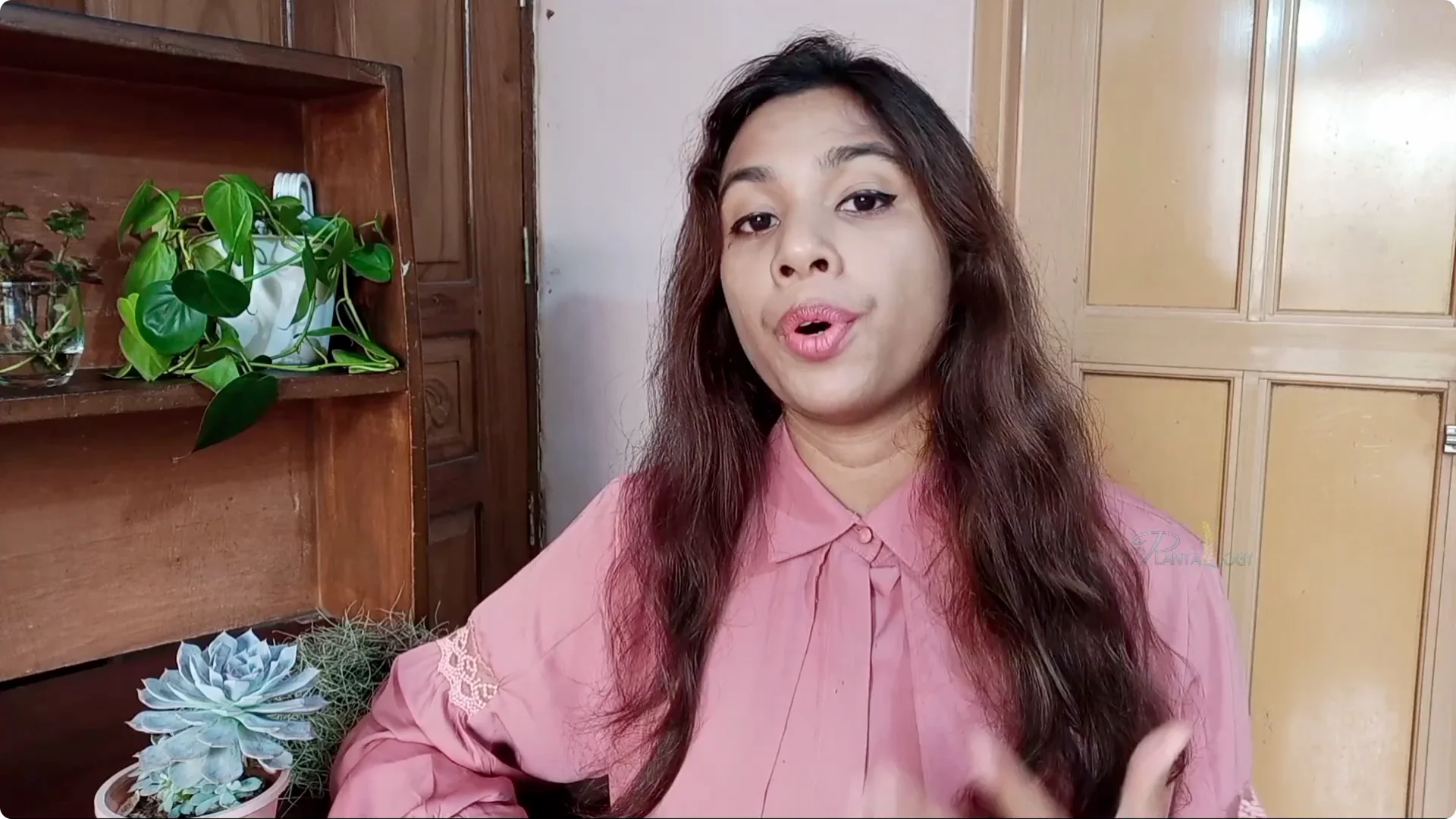 Why Aren't Plants Growing in My House? Key Care Tips Explained screenshot 4