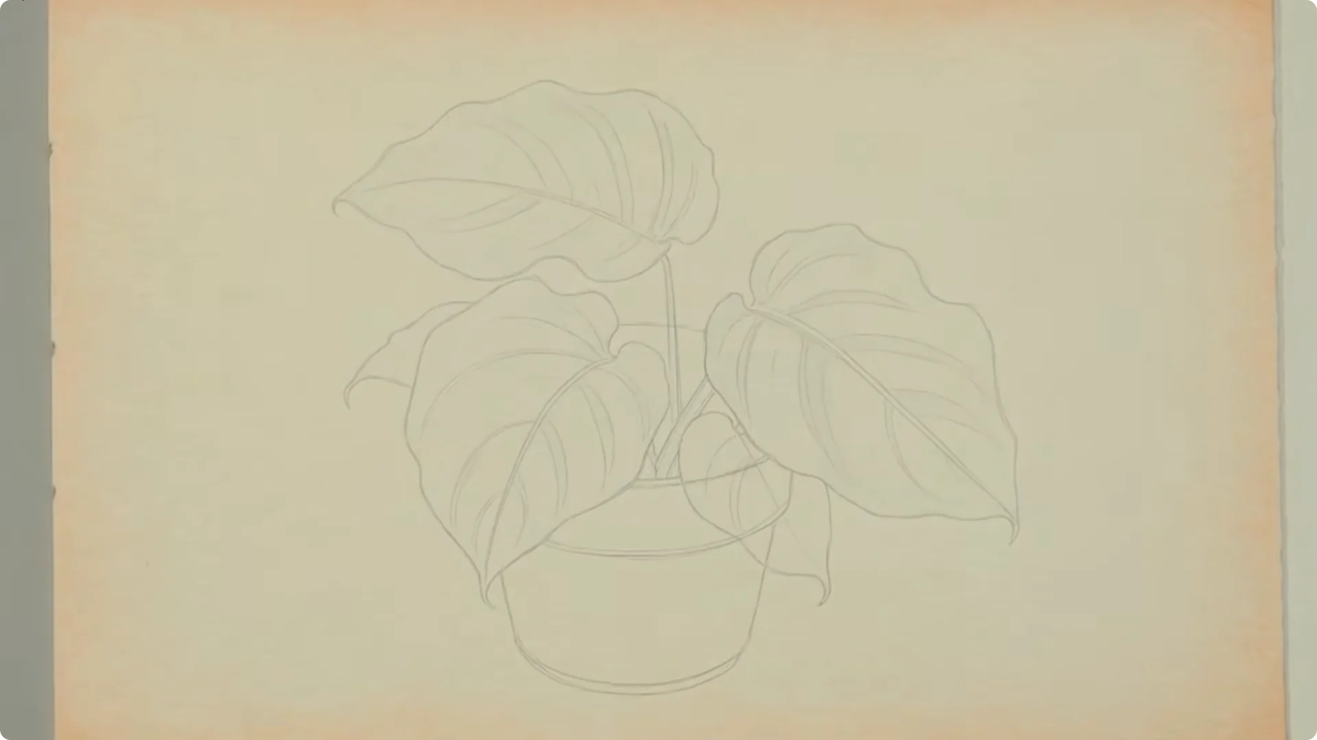 10 Easy-to-Care-for Rare Houseplants Stores Avoid screenshot 5