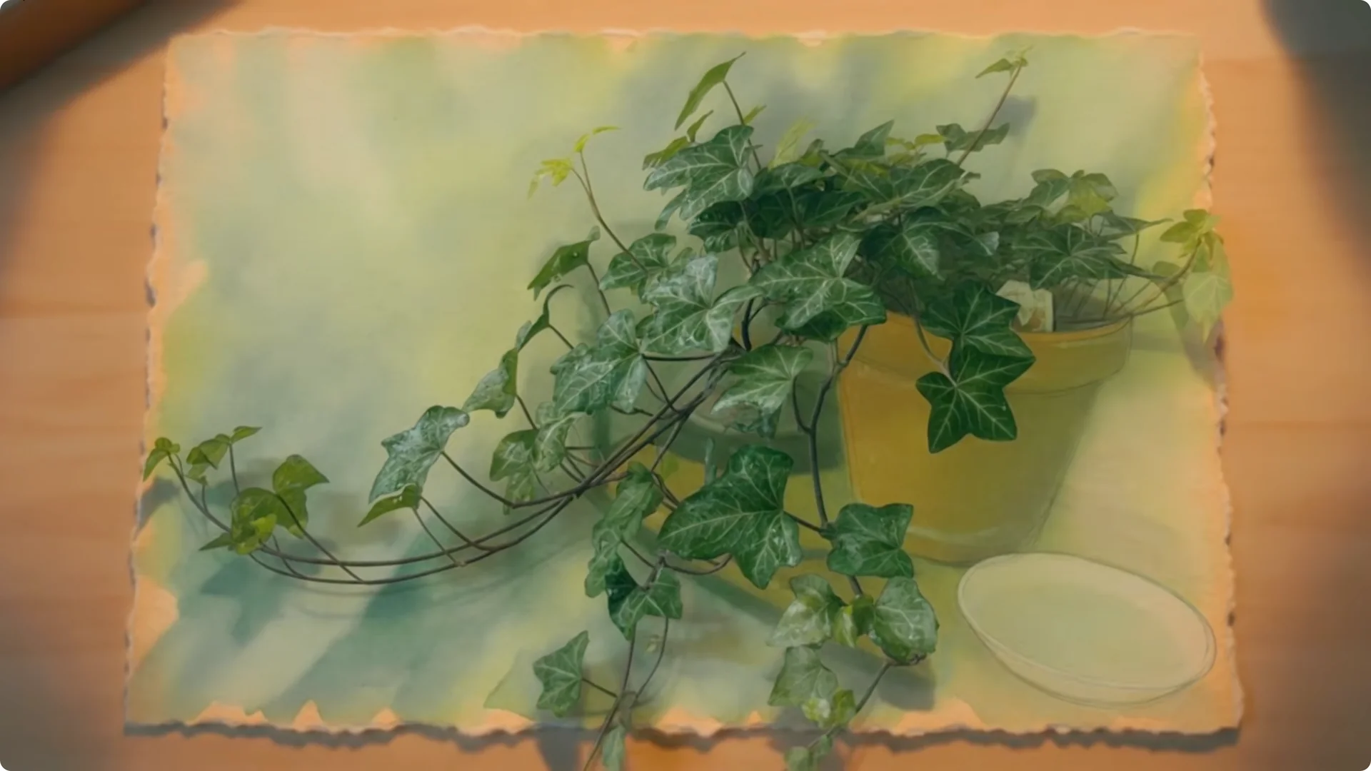 10 Houseplants That Naturally Combat Dampness and Mold screenshot 11