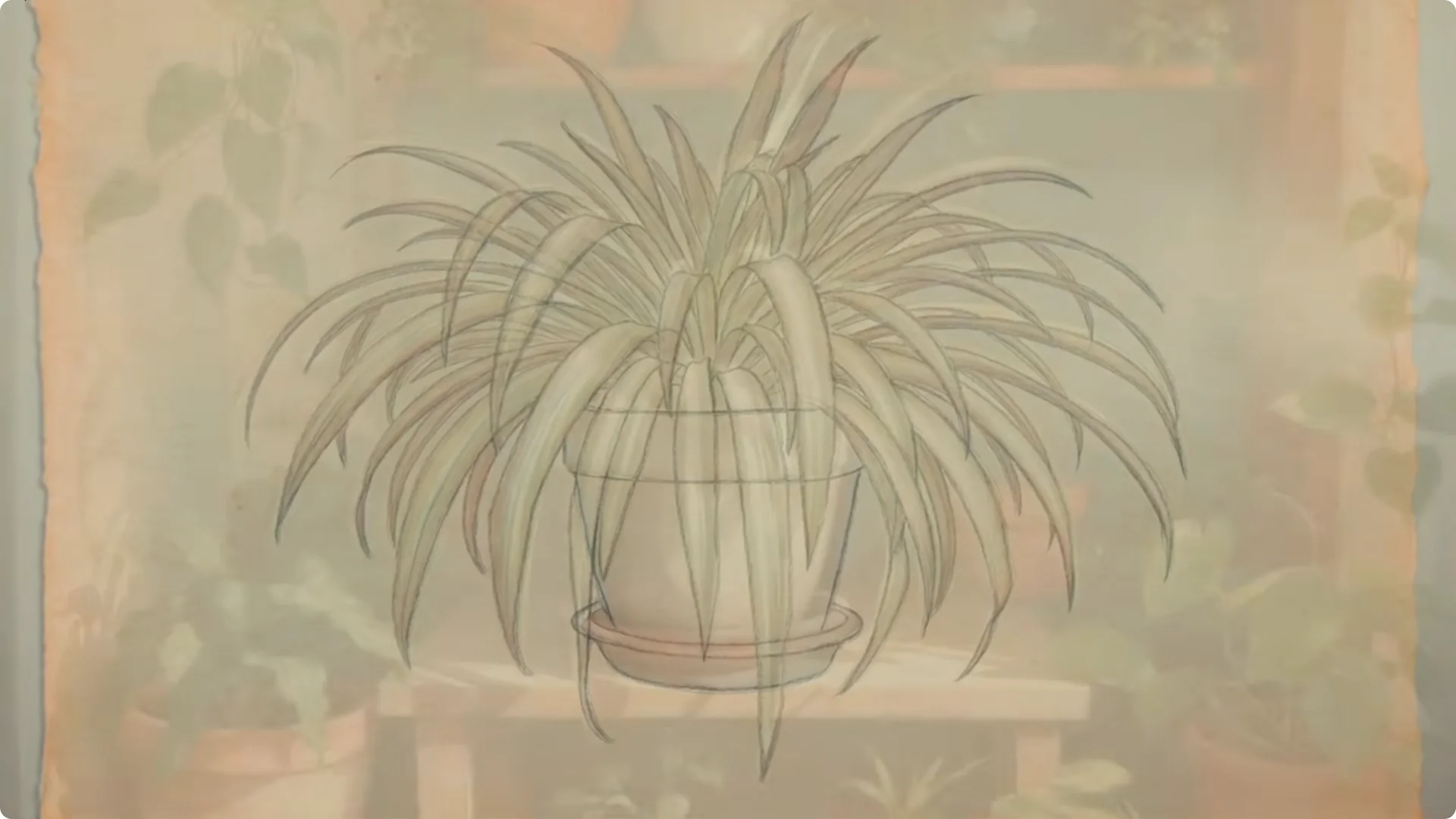 10 Houseplants That Naturally Combat Dampness and Mold screenshot 8