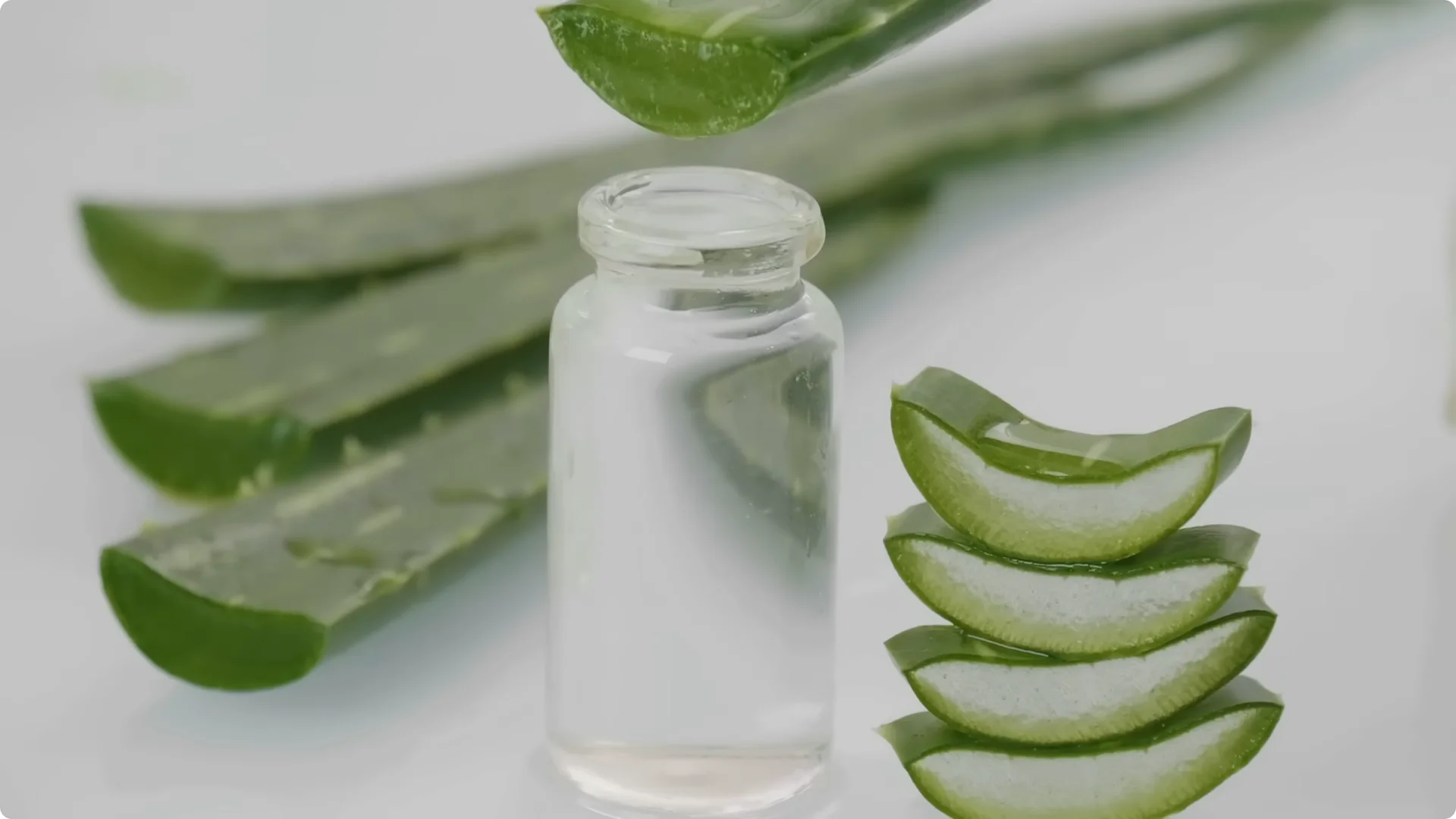 10 Indoor Plants That Boost Healing and Wellness Naturally screenshot 1
