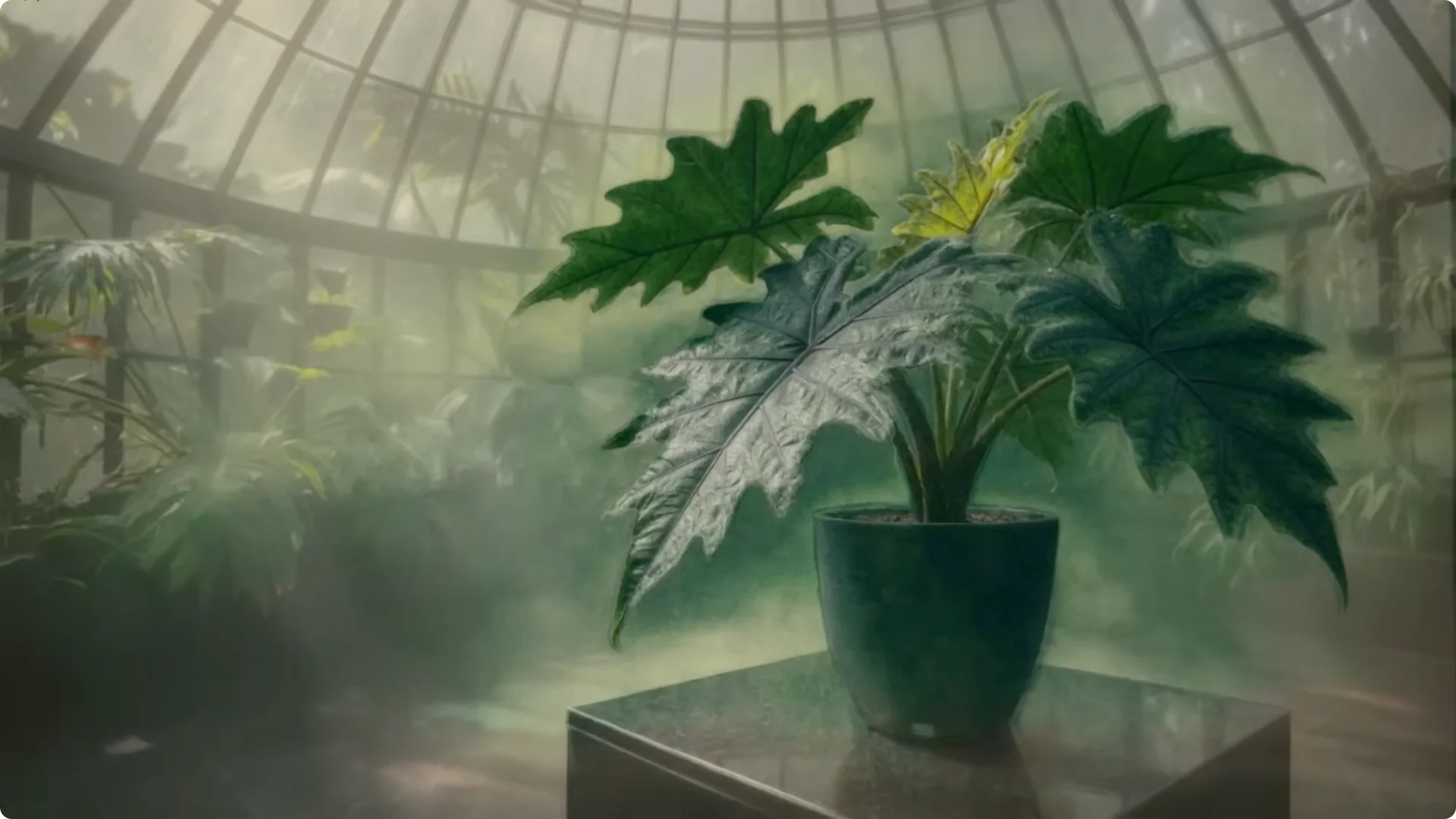 10 Popular Houseplants Experts Warn Against Buying screenshot 7