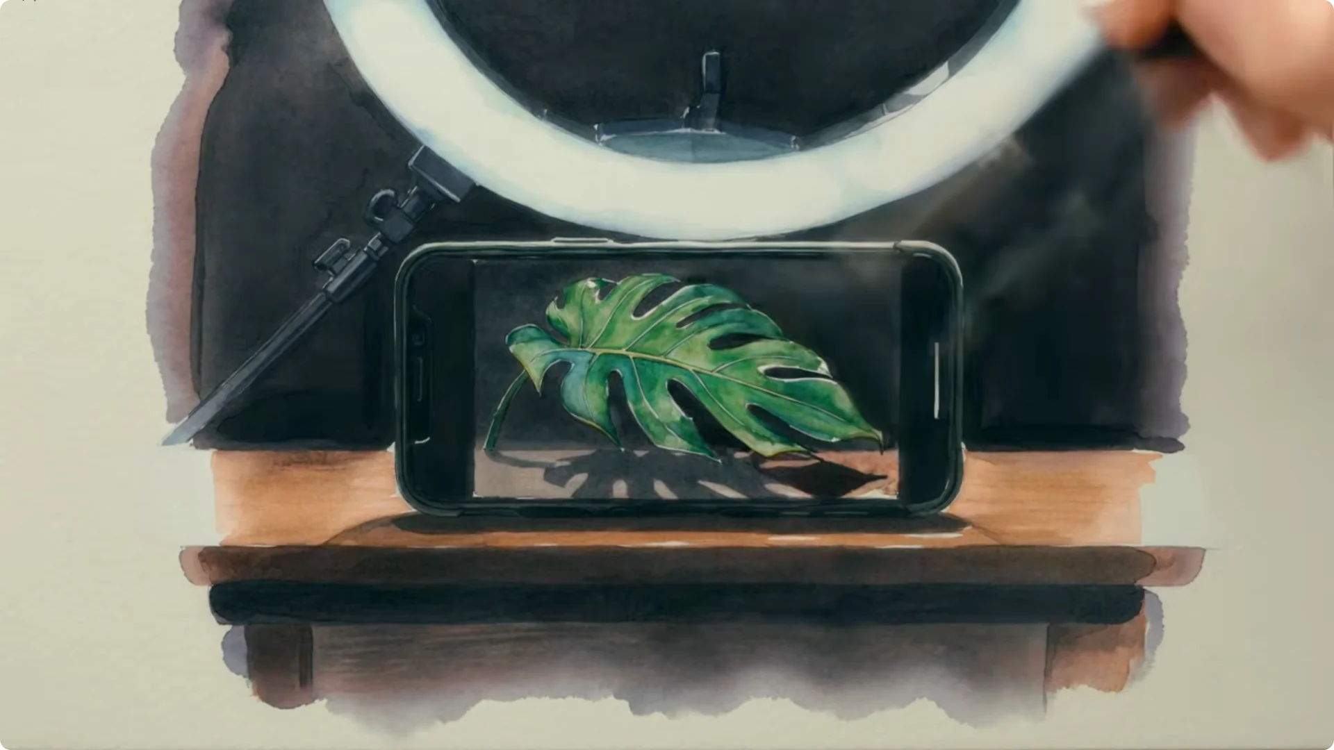 15 Hidden Risks When Buying Plants Online You Should Know screenshot 11