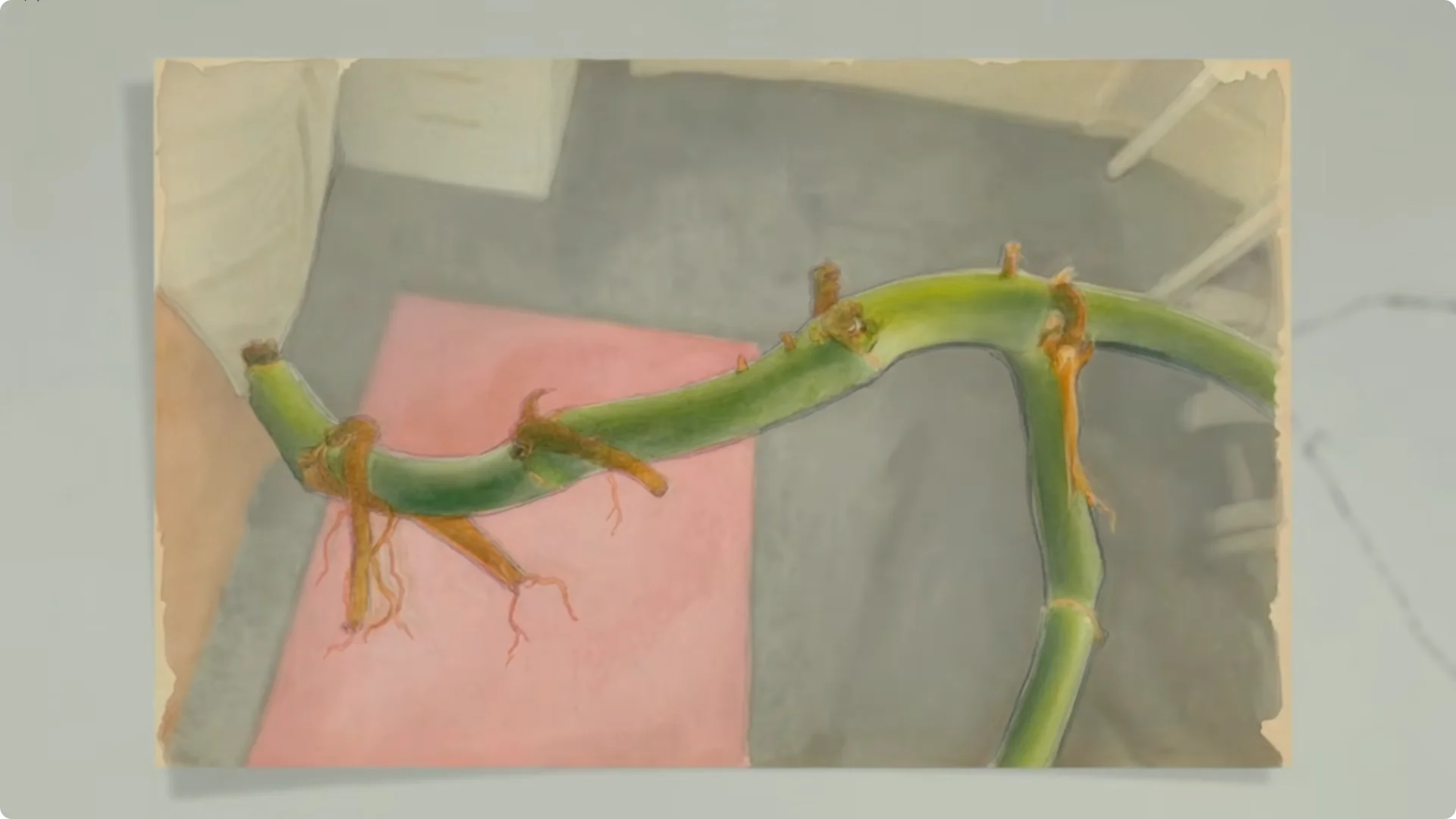 15 Hidden Risks When Buying Plants Online You Should Know screenshot 7