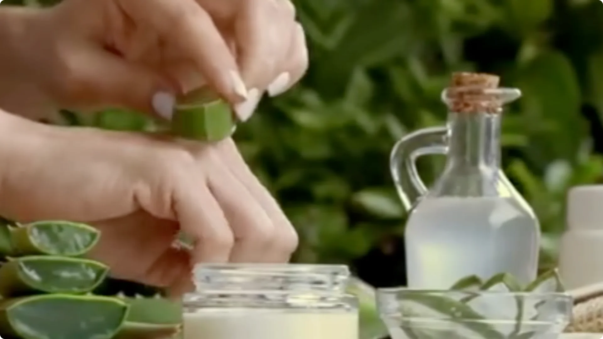 20 Indoor Plants That Instantly Boost Your Health screenshot 4