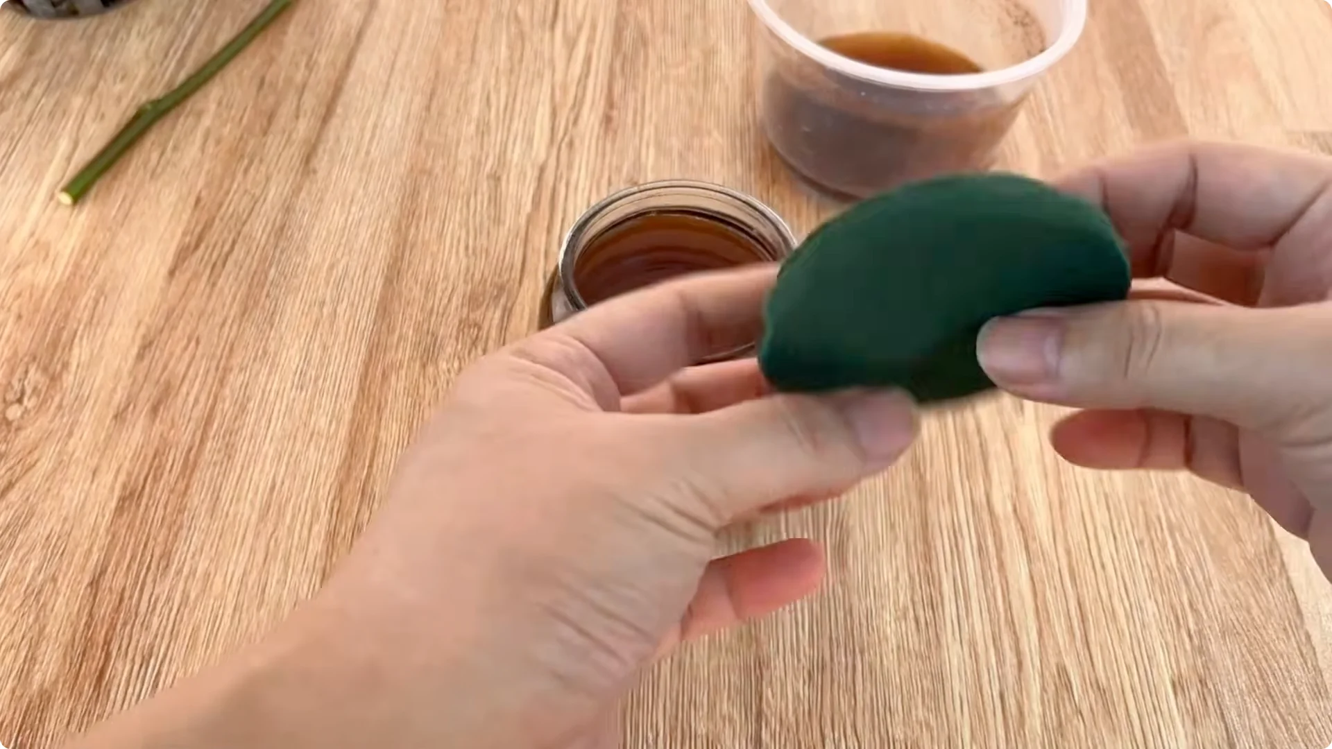 Secrets to Helping Rose Cuttings Root and Sprout Quickly screenshot 12