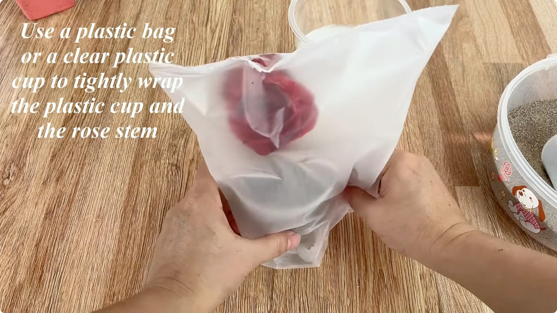Secrets to Rooting Rose Branches Overnight Successfully screenshot 6