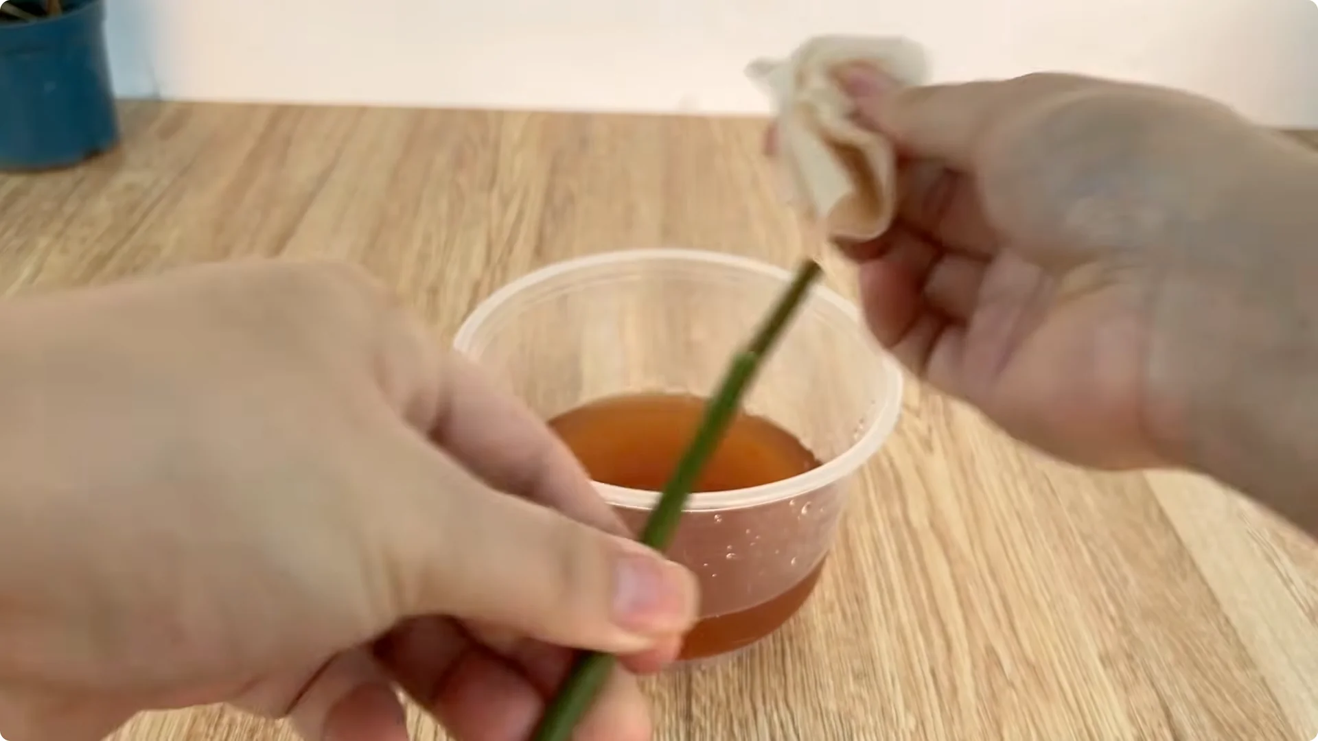 Secrets to Speed Up and Strengthen Rose Cuttings Rooting screenshot 4