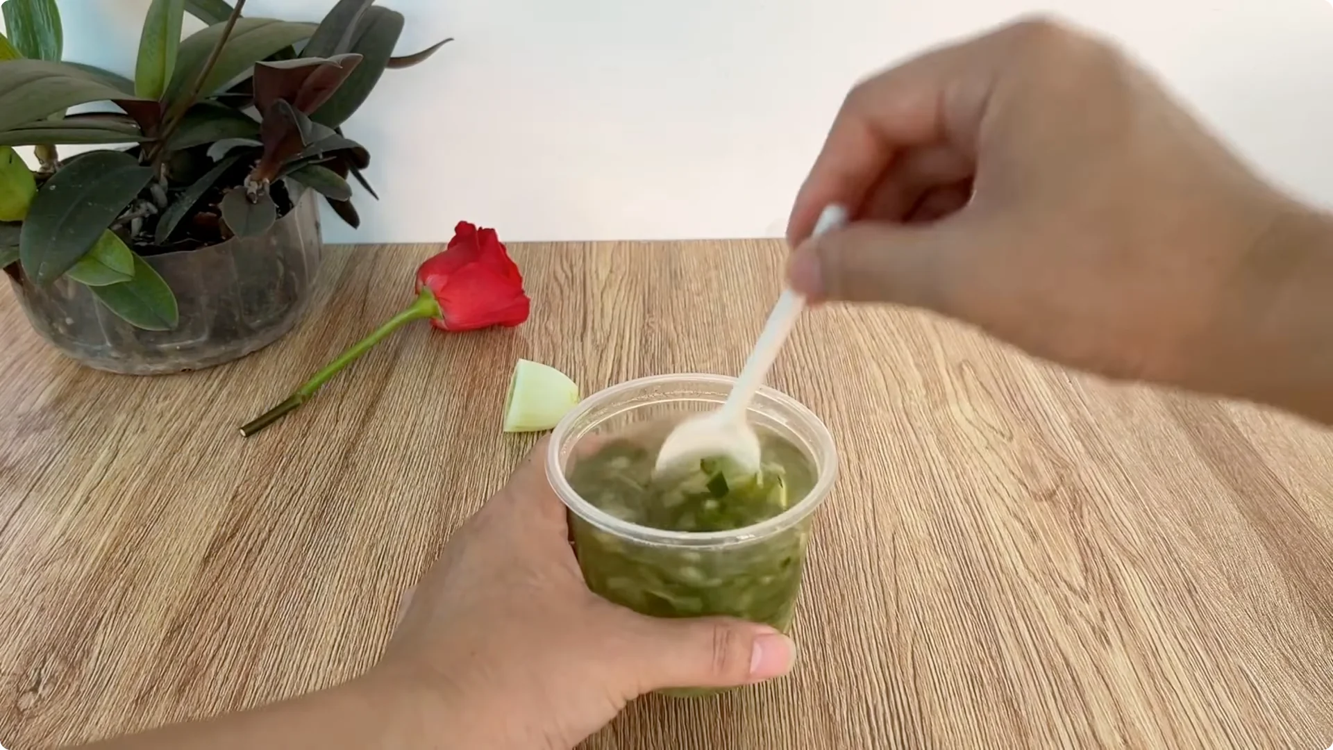 The Rose Propagation Trick Most Gardeners Overlook screenshot 12
