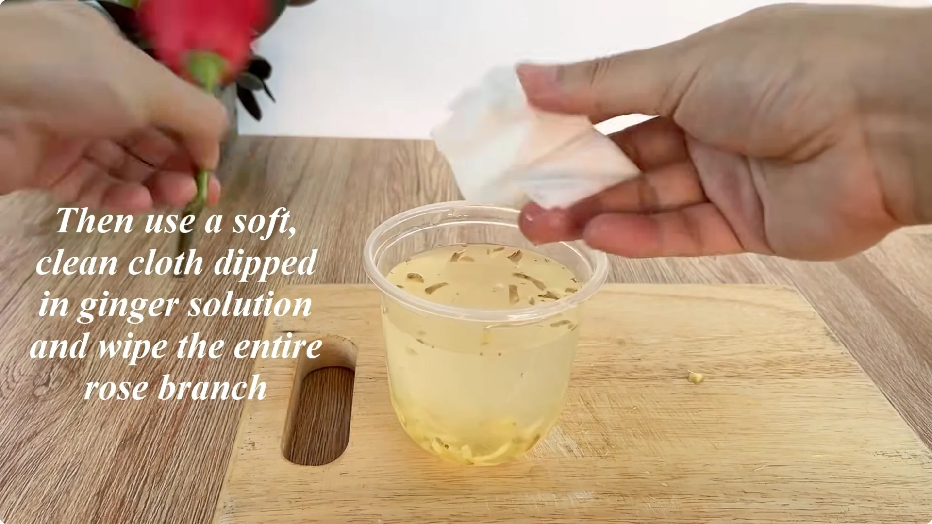 The Rose Propagation Trick Most Gardeners Overlook screenshot 6