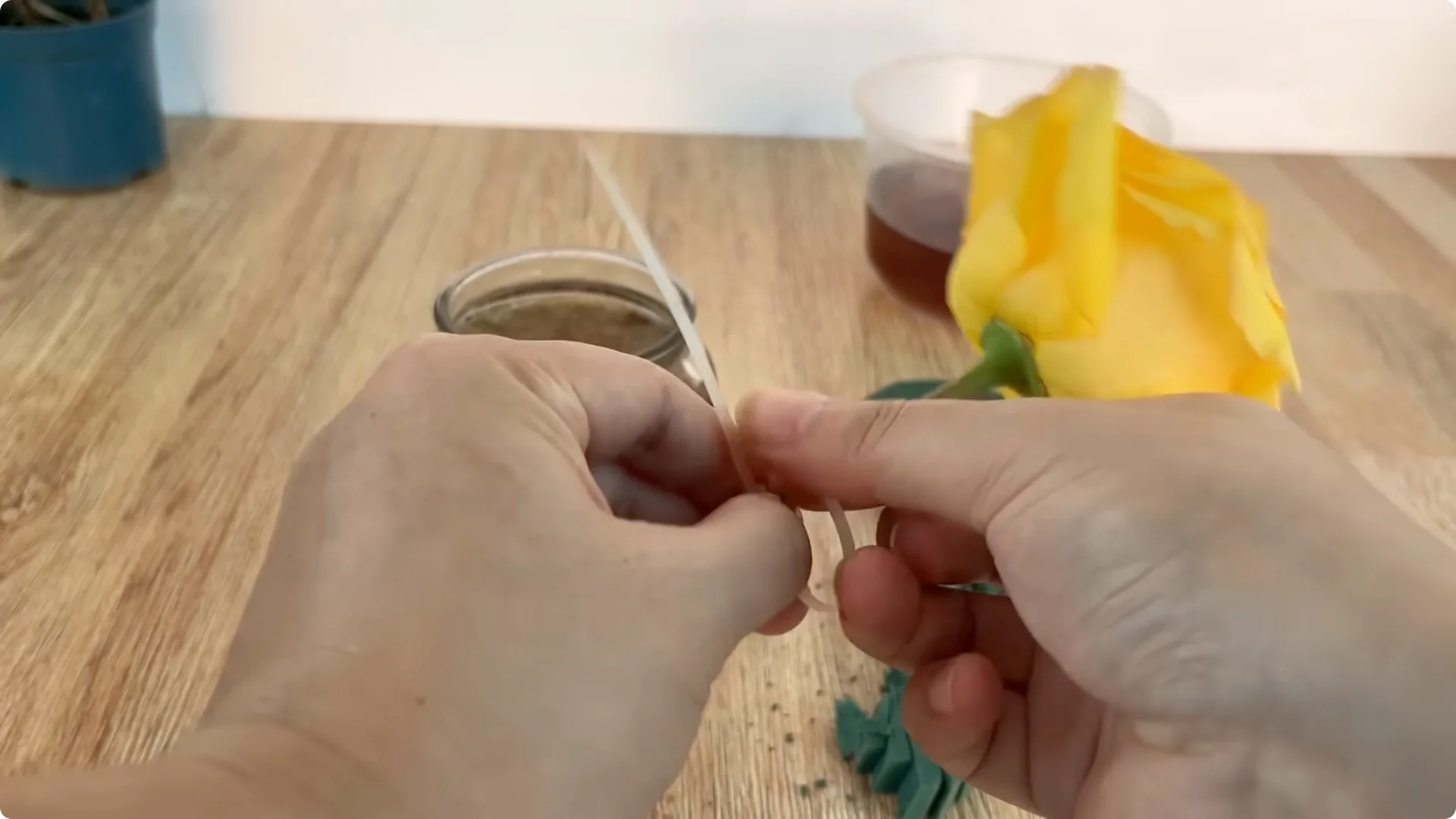 The Simple Trick That Grows Rose Stems with Thousands of Roots screenshot 13