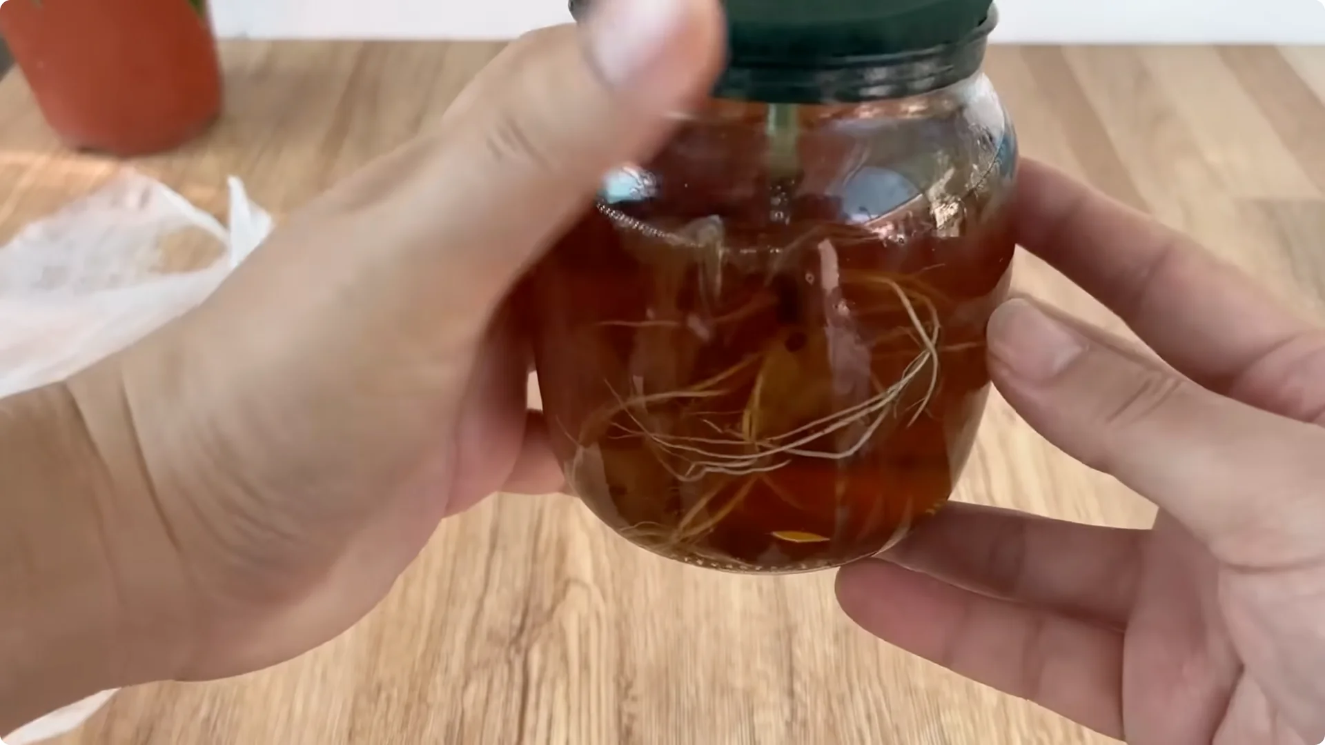 The Simple Trick That Grows Rose Stems with Thousands of Roots screenshot 15