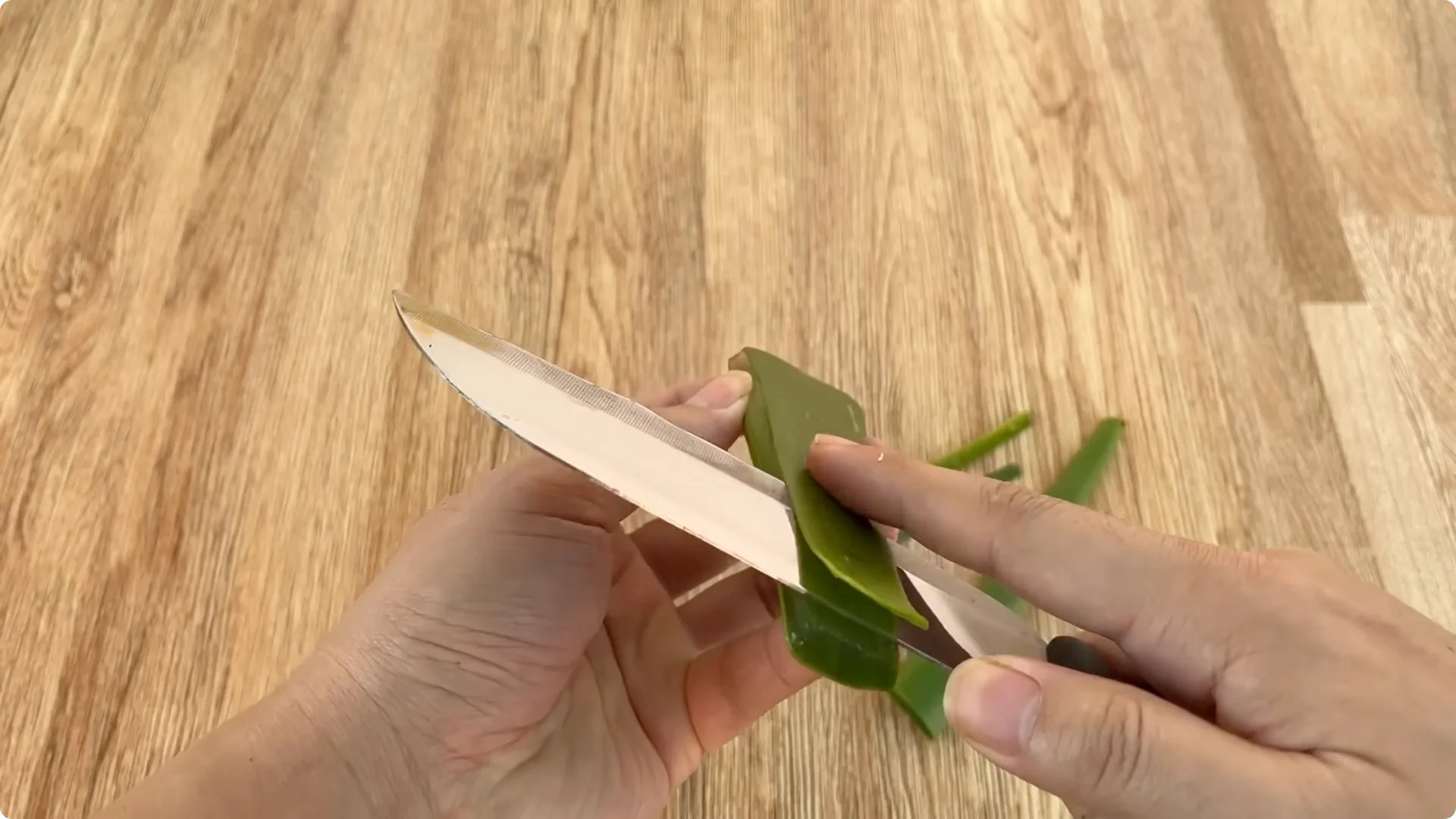 The Simple Trick That Grows Rose Stems with Thousands of Roots screenshot 6