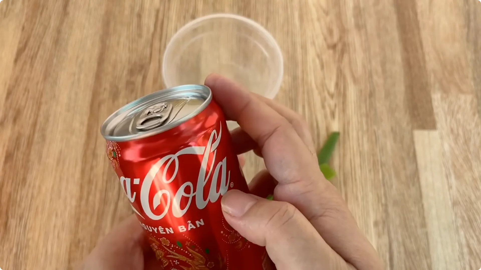 The Simple Trick That Grows Rose Stems with Thousands of Roots screenshot 7
