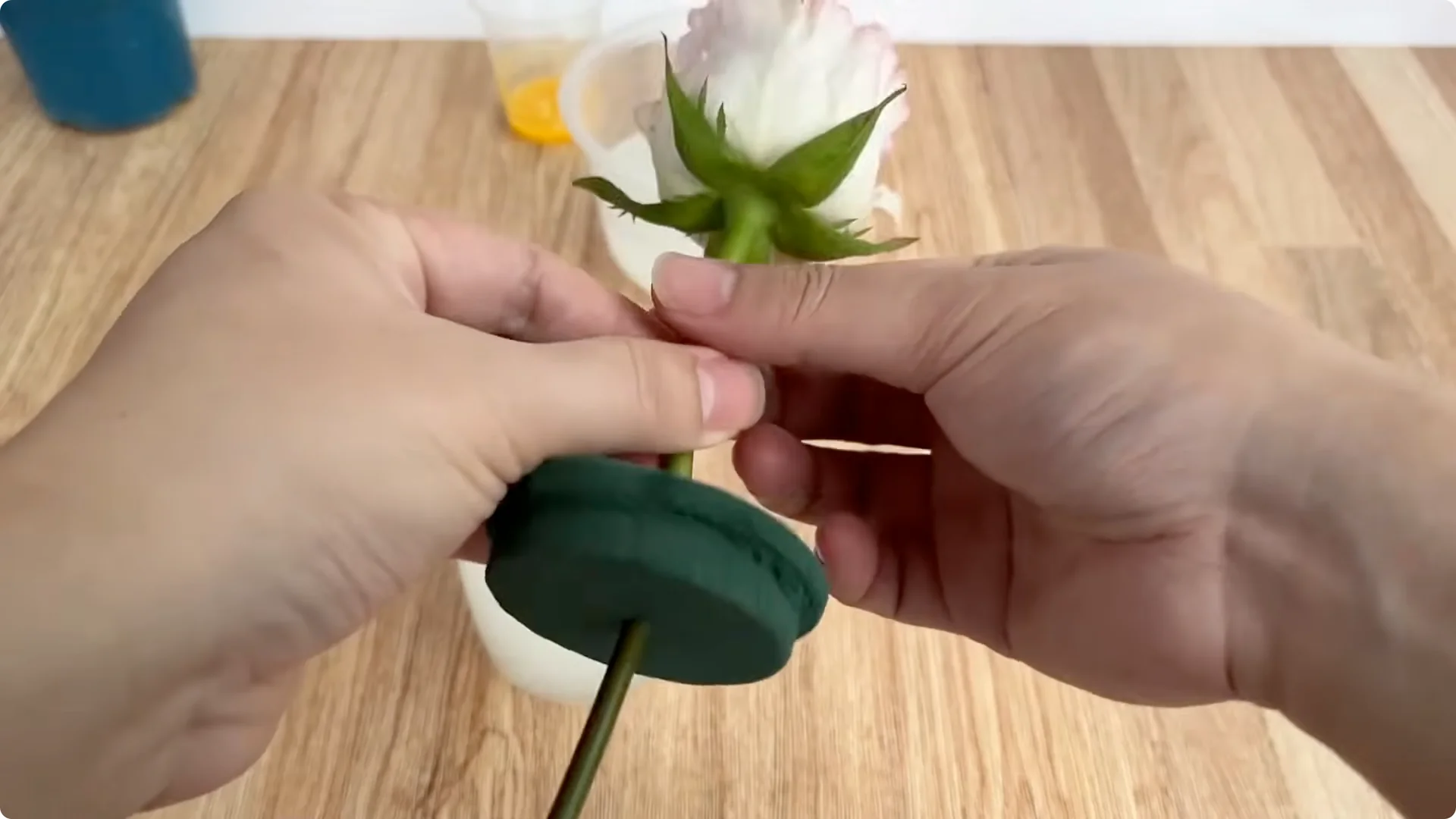 The Surprising Impact of One Egg on Rose Roots and Blooms screenshot 9