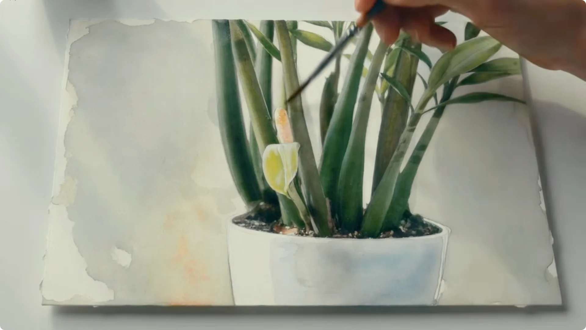What Your ZZ Plant’s Bloom Reveals About Its Health? screenshot 5