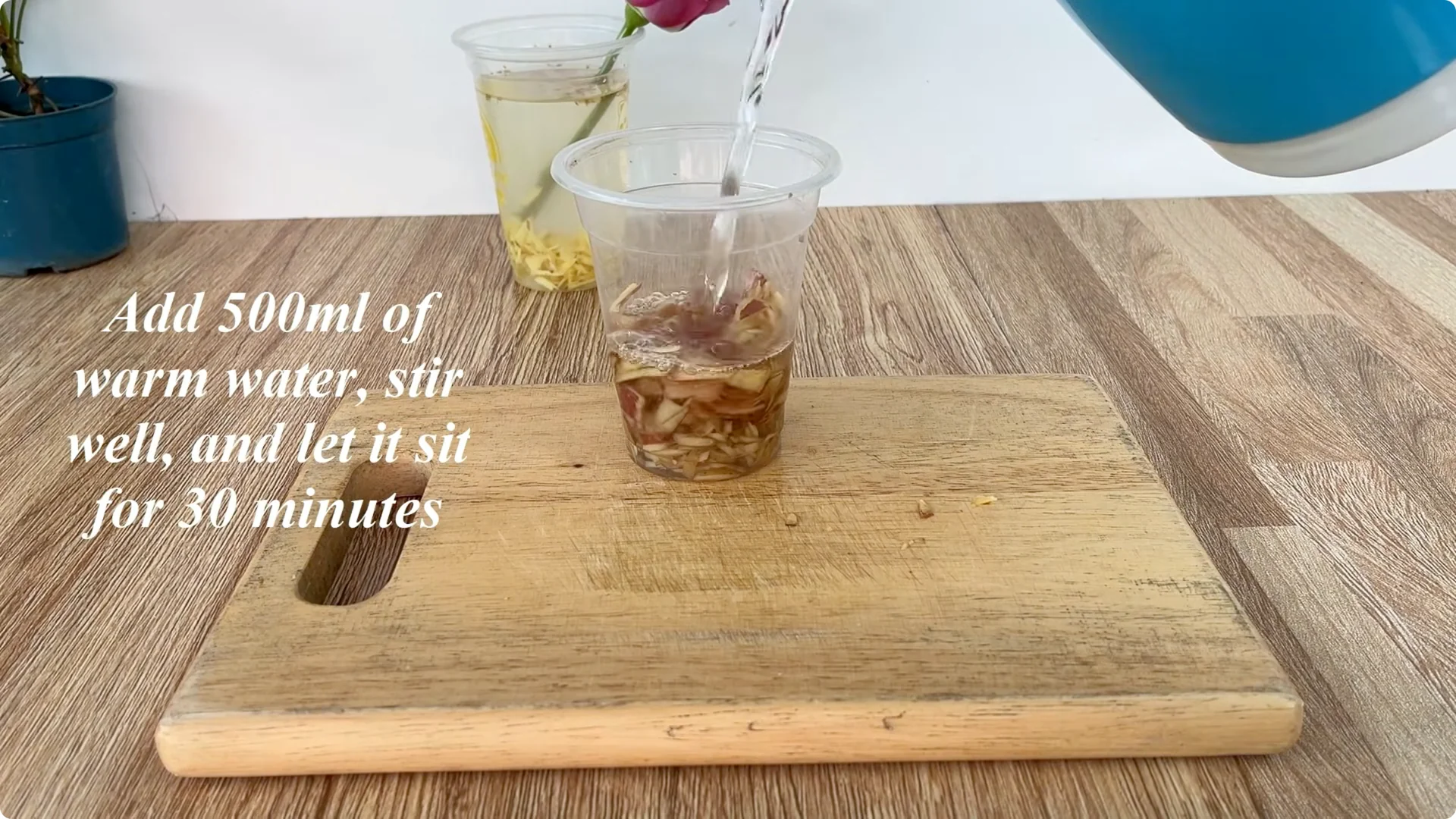 Why Potato Peels Boost Rose Stem Rooting Success screenshot 3
