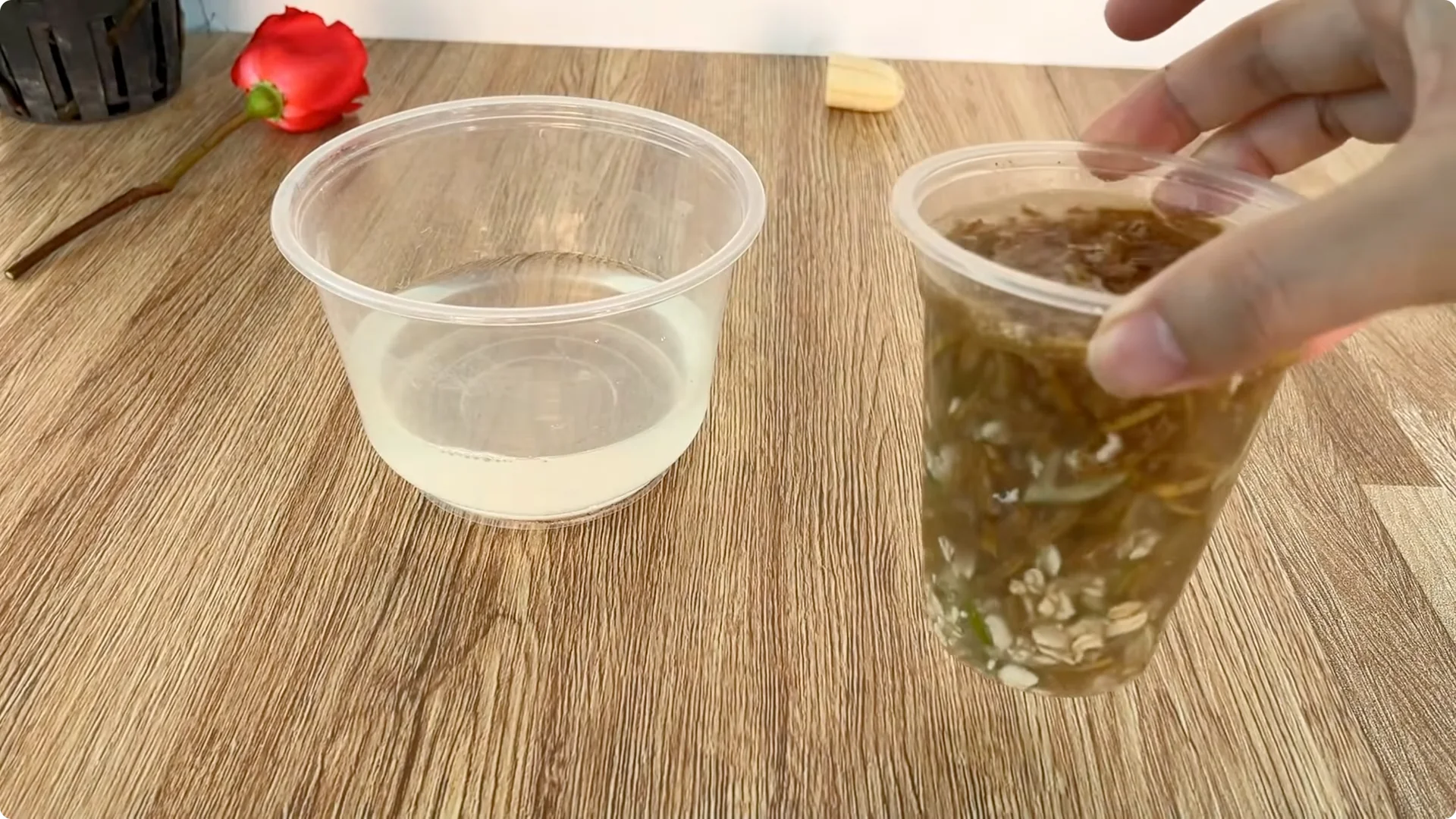 Why Rose Cuttings Can Grow 900% Faster and Bloom Always screenshot 5